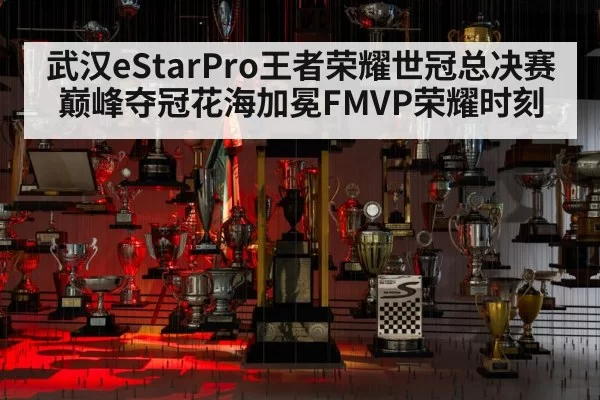 武汉eStarPro王者荣耀世冠总决赛巅峰夺冠花海加冕FMVP荣耀时刻