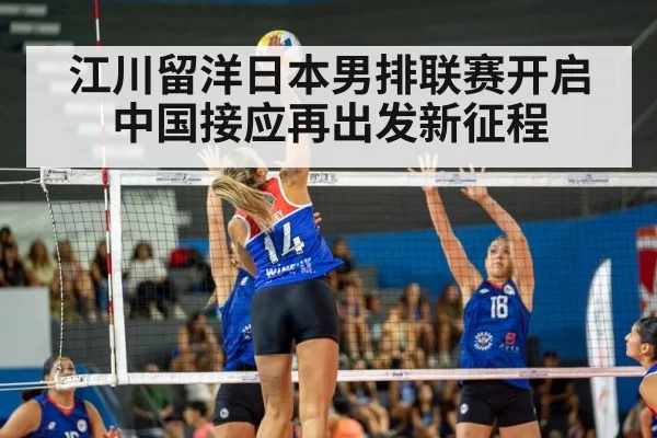 volleyball match action